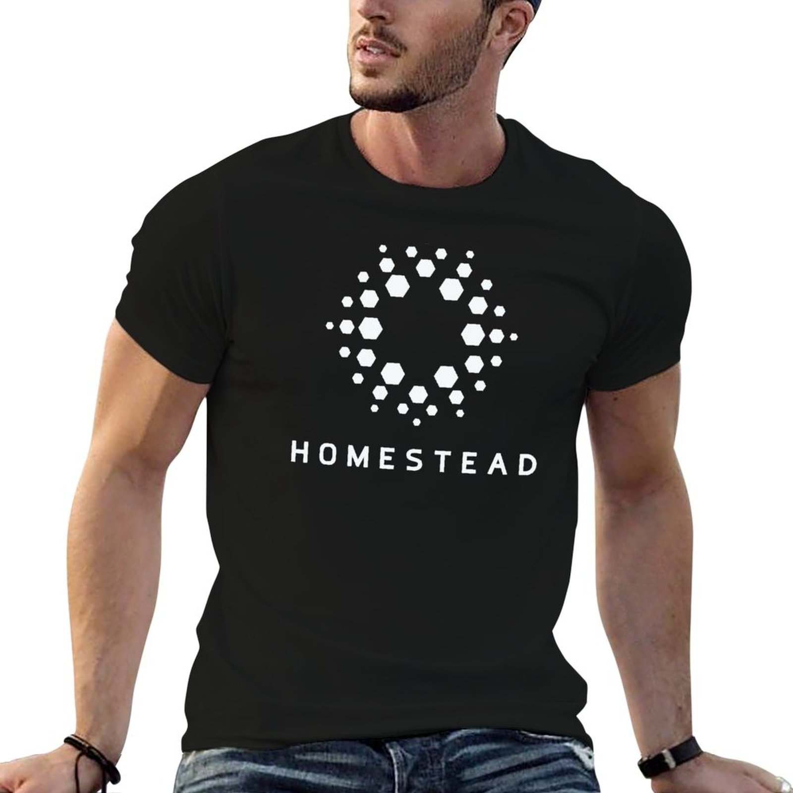 Homestead Lighting & Decor Oconomowoc - Homestead - Passengers - Camiseta ligera,