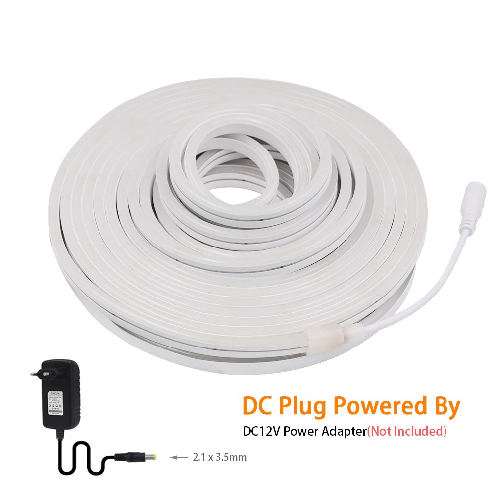 Tira de luces LED de neón para - Decor Lighting Hours reseña y precio